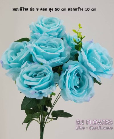 ดอกไม้สีฟ้า_๑๙๐๖๐๗_0021
