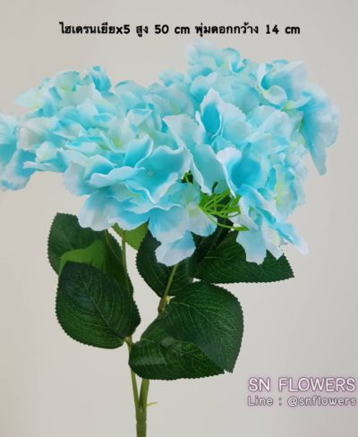 ดอกไม้สีฟ้า_๑๙๐๖๐๗_0022