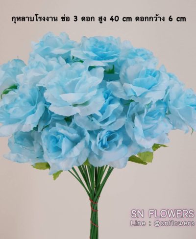 ดอกไม้สีฟ้า_๑๙๐๖๐๗_0024