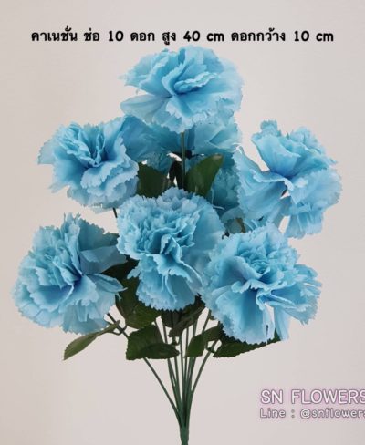 ดอกไม้สีฟ้า_๑๙๐๖๐๗_0025