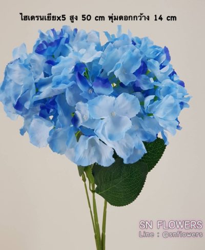 ดอกไม้สีฟ้า_๑๙๐๖๐๗_0026