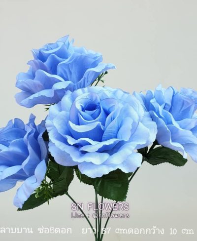 ดอกไม้สีฟ้า_๑๙๐๖๐๗_0036