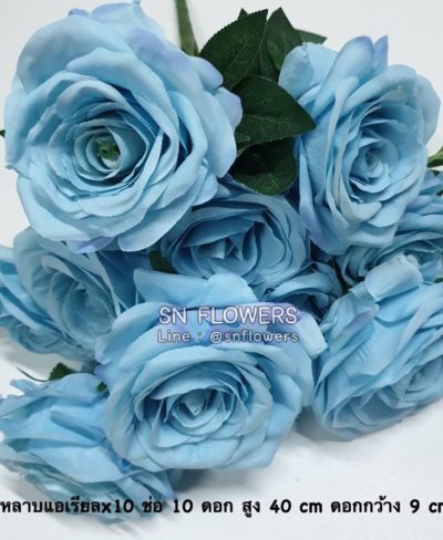 ดอกไม้สีฟ้า_๑๙๐๖๐๗_0039