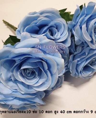 ดอกไม้สีฟ้า_๑๙๐๖๐๗_0040