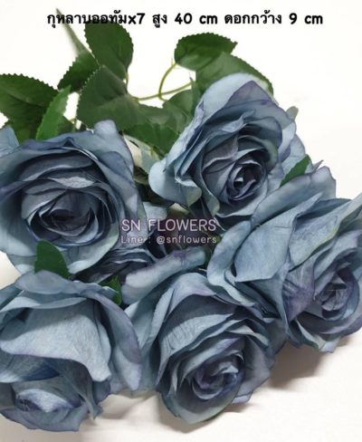 ดอกไม้สีฟ้า_๑๙๐๖๐๗_0041