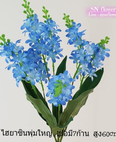 ดอกไม้สีฟ้า_๑๙๐๖๐๗_0044