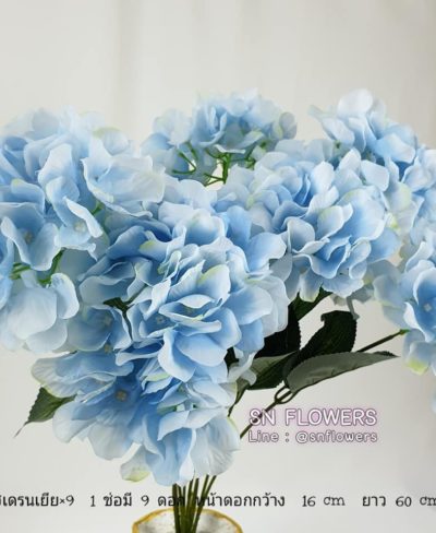 ดอกไม้สีฟ้า_๑๙๐๖๐๗_0051