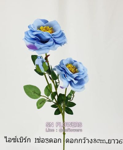 ดอกไม้สีฟ้า_๑๙๐๖๐๗_0052