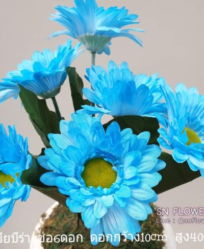 ดอกไม้สีฟ้า_๑๙๐๖๐๗_0053