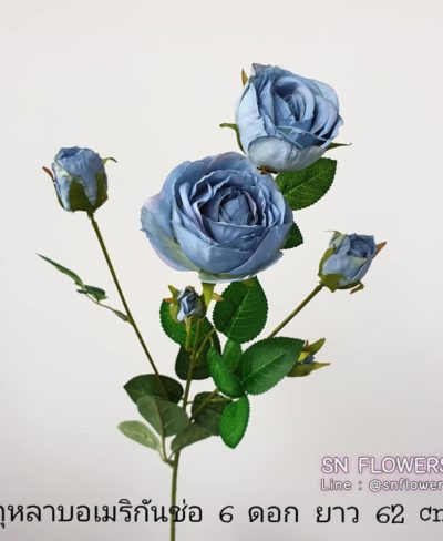 ดอกไม้สีฟ้า_๑๙๐๖๐๗_0055