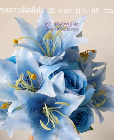 ดอกไม้สีฟ้า_๑๙๐๖๐๗_0056