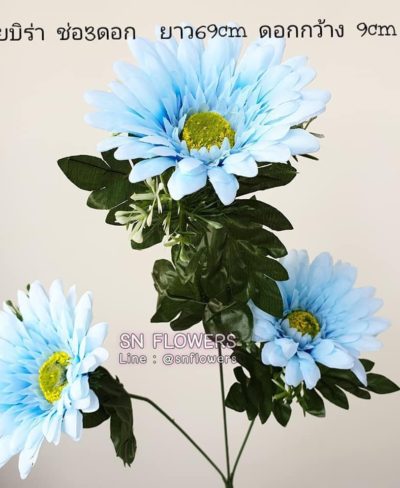 ดอกไม้สีฟ้า_๑๙๐๖๐๗_0057