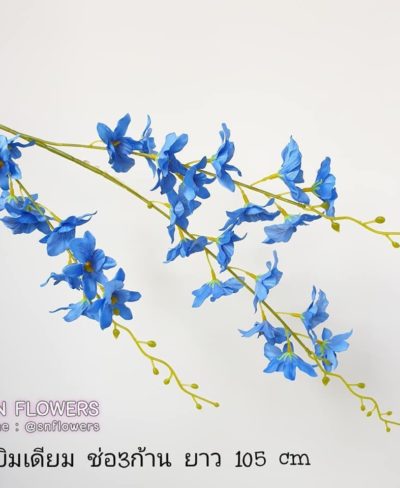 ดอกไม้สีฟ้า_๑๙๐๖๐๗_0058