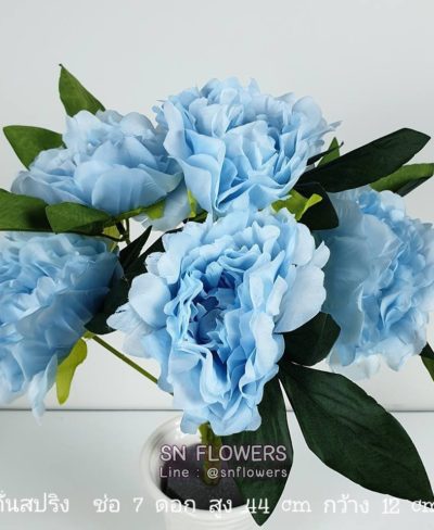 ดอกไม้สีฟ้า_๑๙๐๖๐๗_0059