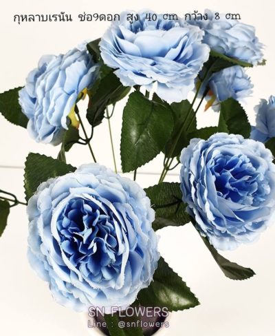 ดอกไม้สีฟ้า_๑๙๐๖๐๗_0060