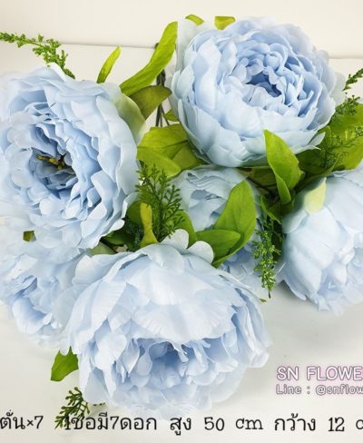 ดอกไม้สีฟ้า_๑๙๐๖๐๗_0062