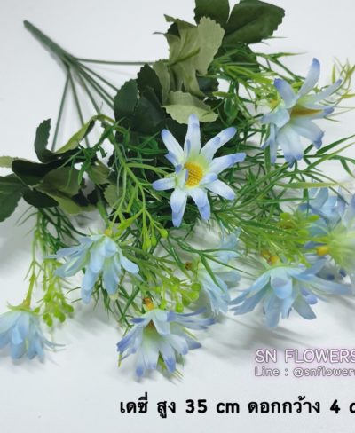 ดอกไม้สีฟ้า_๑๙๐๖๐๗_0068