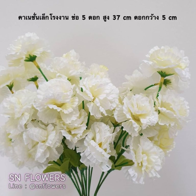 My Image 42