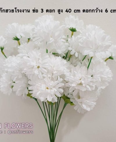 ดอกไม้สีขาว_๑๙๐๗๒๔_0008