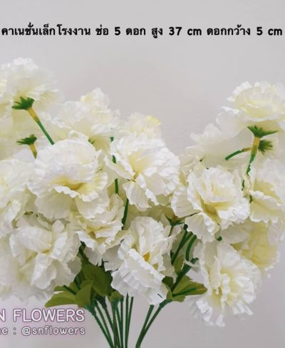 ดอกไม้สีขาว_๑๙๐๗๒๔_0009