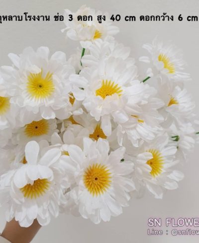 ดอกไม้สีขาว_๑๙๐๗๒๔_0011