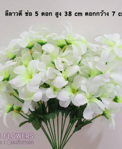 ดอกไม้สีขาว_๑๙๐๗๒๔_0012