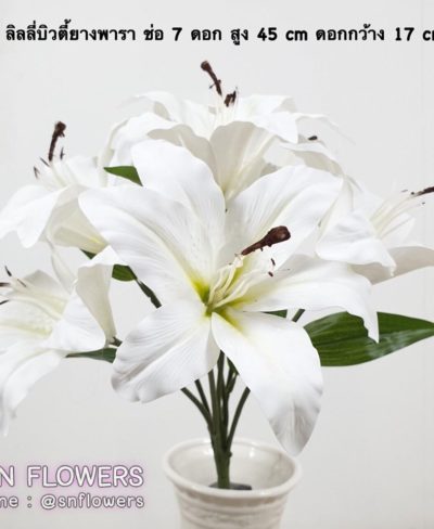 ดอกไม้สีขาว_๑๙๐๗๒๔_0013