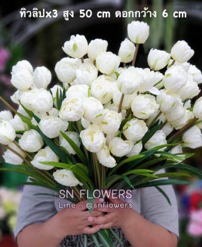 ดอกไม้สีขาว_๑๙๐๗๒๔_0015