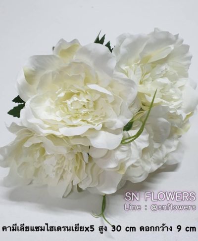 ดอกไม้สีขาว_๑๙๐๗๒๔_0017