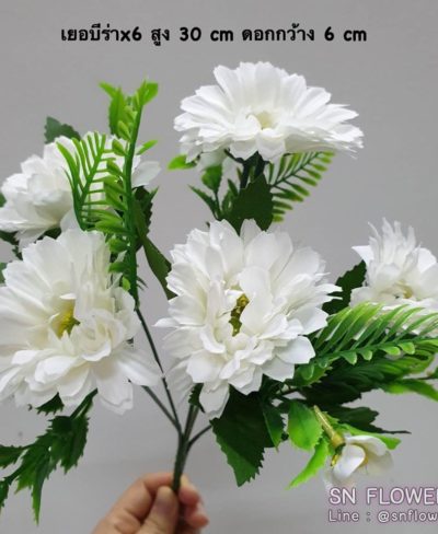 ดอกไม้สีขาว_๑๙๐๗๒๔_0019