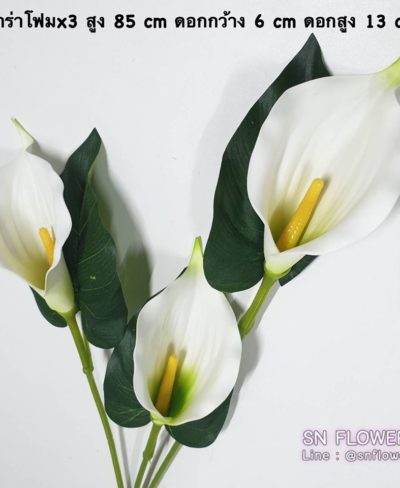 ดอกไม้สีขาว_๑๙๐๗๒๔_0020