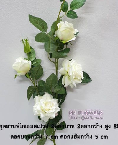 ดอกไม้สีขาว_๑๙๐๗๒๔_0029