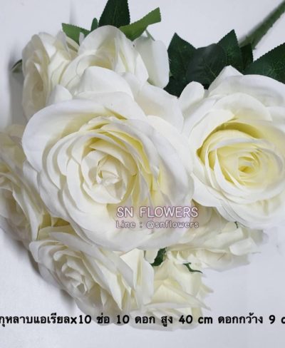 ดอกไม้สีขาว_๑๙๐๗๒๔_0031