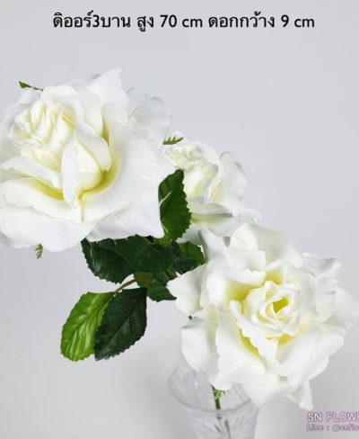 ดอกไม้สีขาว_๑๙๐๗๒๔_0034