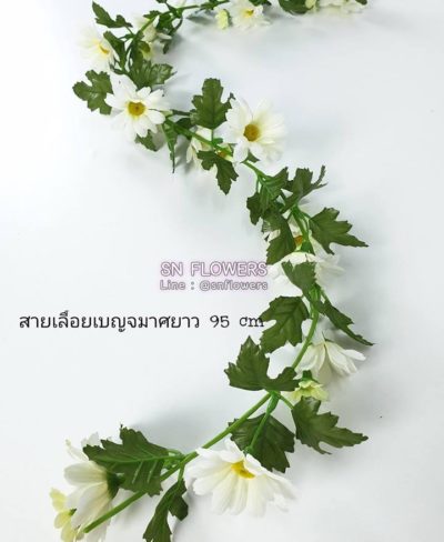 ดอกไม้สีขาว_๑๙๐๗๒๔_0035