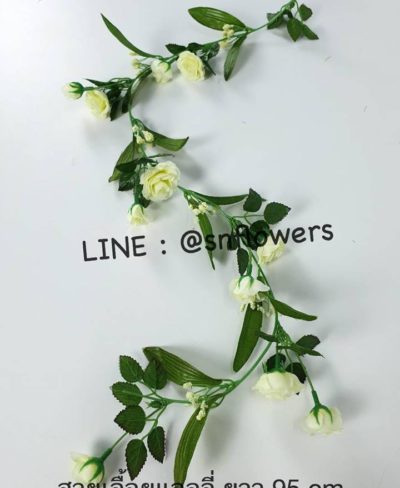 ดอกไม้สีขาว_๑๙๐๗๒๔_0036