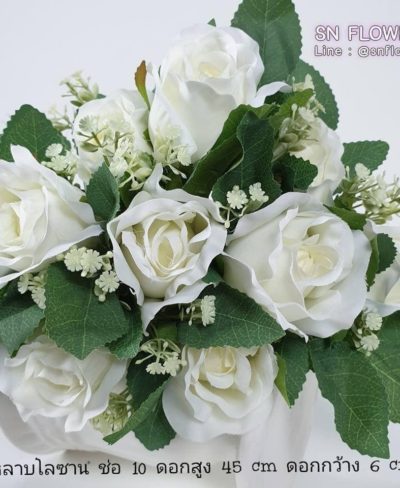 ดอกไม้สีขาว_๑๙๐๗๒๔_0038