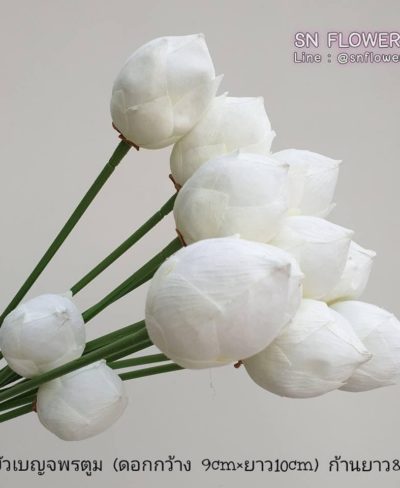 ดอกไม้สีขาว_๑๙๐๗๒๔_0046