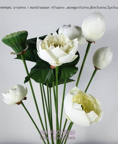 ดอกไม้สีขาว_๑๙๐๗๒๔_0047