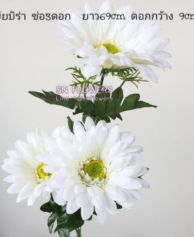 ดอกไม้สีขาว_๑๙๐๗๒๔_0051