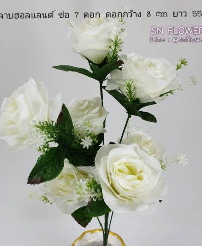 ดอกไม้สีขาว_๑๙๐๗๒๔_0053