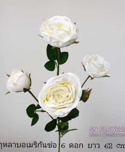 ดอกไม้สีขาว_๑๙๐๗๒๔_0054
