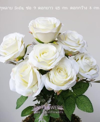 ดอกไม้สีขาว_๑๙๐๗๒๔_0057