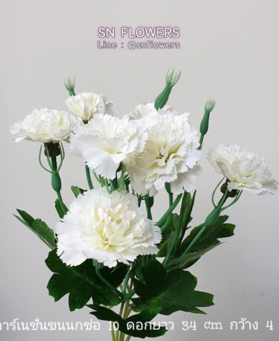 ดอกไม้สีขาว_๑๙๐๗๒๔_0059