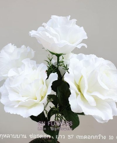 ดอกไม้สีขาว_๑๙๐๗๒๔_0060