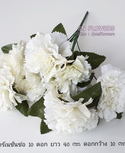 ดอกไม้สีขาว_๑๙๐๗๒๔_0061