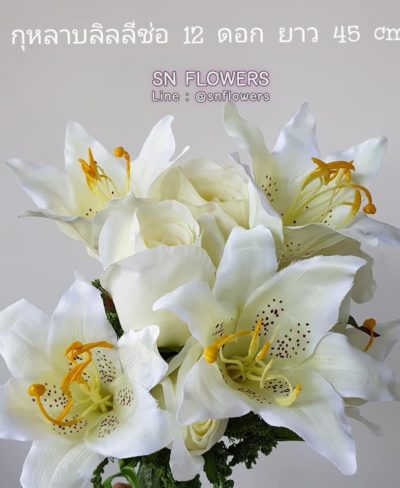ดอกไม้สีขาว_๑๙๐๗๒๔_0063