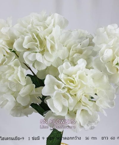 ดอกไม้สีขาว_๑๙๐๗๒๔_0069