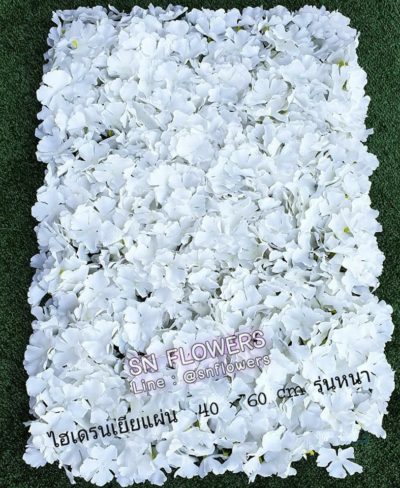 ดอกไม้สีขาว_๑๙๐๗๒๔_0072