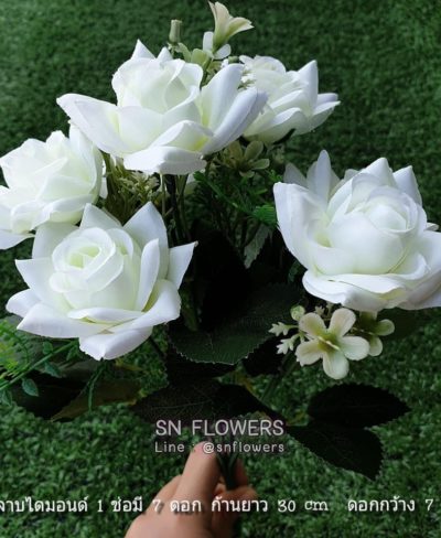 ดอกไม้สีขาว_๑๙๐๗๒๔_0073